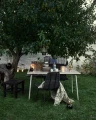 lampa naftowa, lampa Nordal